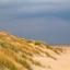 001 sylt