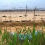 017 sylt