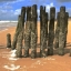 195 sylt
