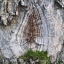 026 spuren