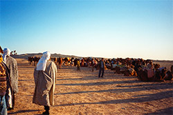 djerba